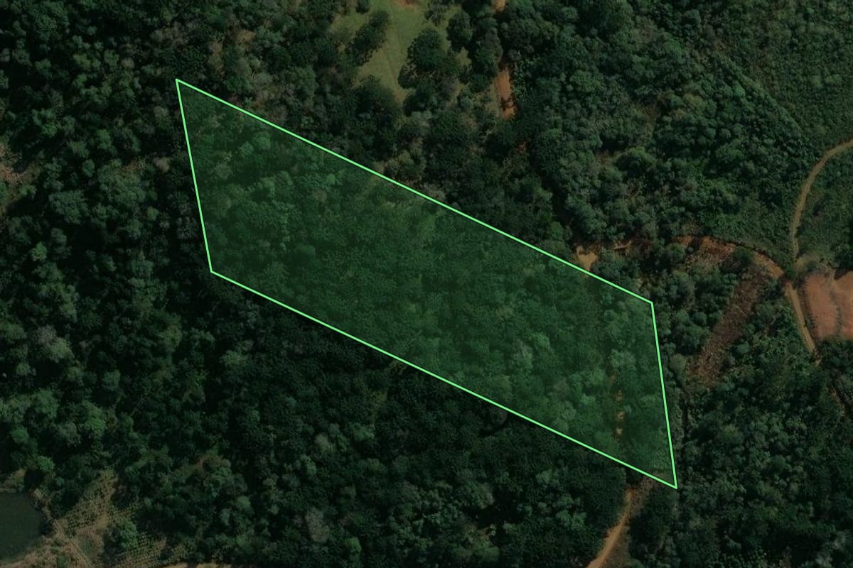 Imagem de satélite do imóvel rural em Cruz Machado (PR), com o contorno declarado no CAR desenhado por cima.