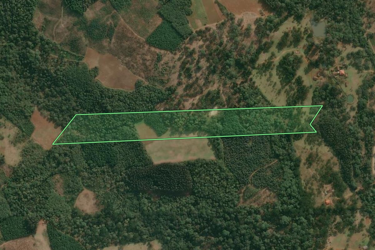 Imagem de satélite do imóvel rural em Cruz Machado (PR), com o contorno declarado no CAR desenhado por cima.