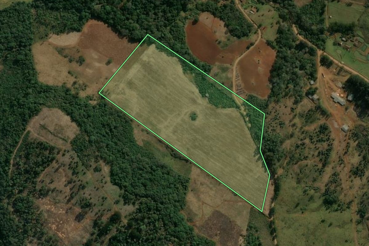 Imagem de satélite do imóvel rural em Cruz Machado (PR), com o contorno declarado no CAR desenhado por cima.