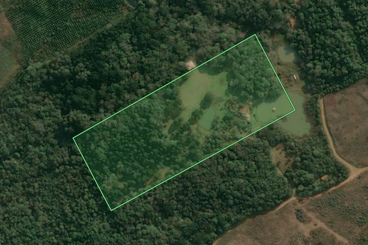 Imagem de satélite do imóvel rural em Cruz Machado (PR), com o contorno declarado no CAR desenhado por cima.