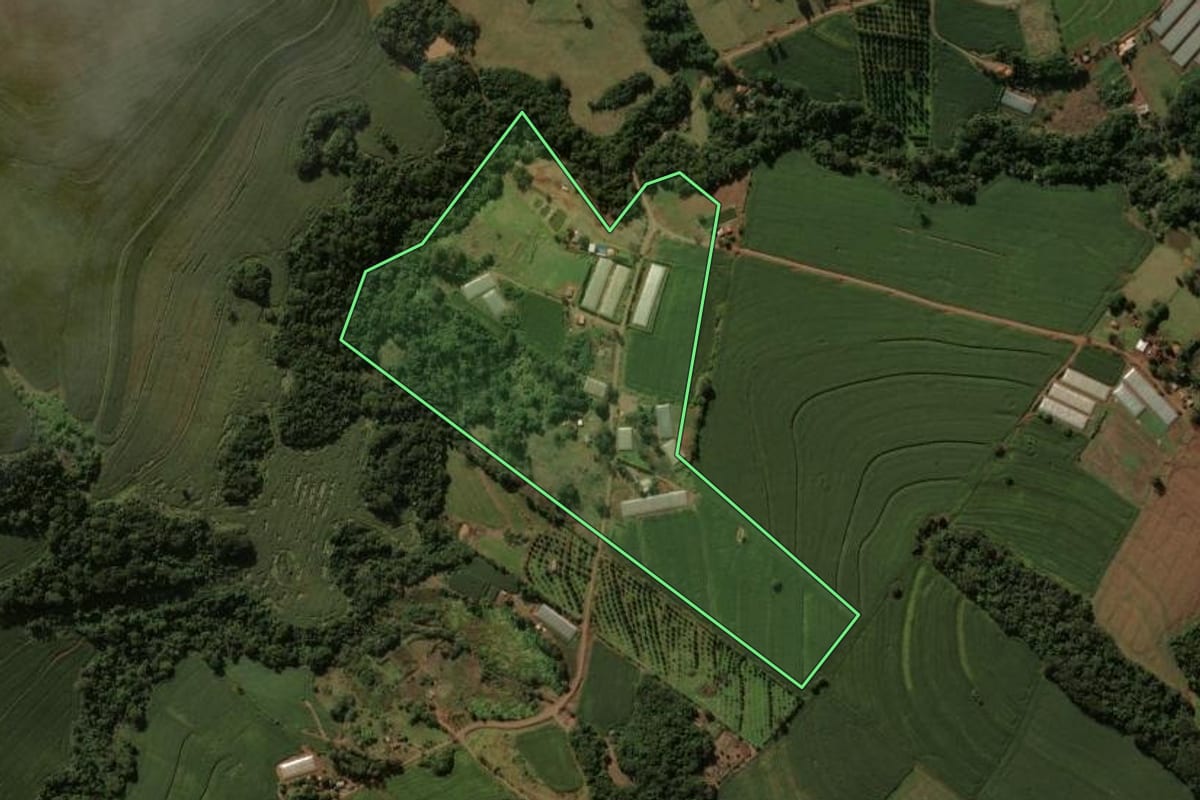 Imagem de satélite do imóvel rural em Cruzmaltina (PR), com o contorno declarado no CAR desenhado por cima.