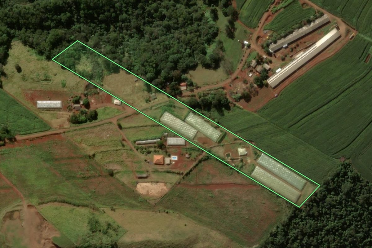 Imagem de satélite do imóvel rural em Cruzmaltina (PR), com o contorno declarado no CAR desenhado por cima.