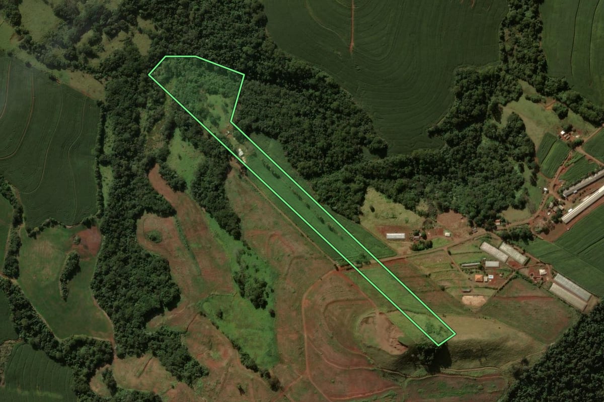 Imagem de satélite do imóvel rural em Cruzmaltina (PR), com o contorno declarado no CAR desenhado por cima.