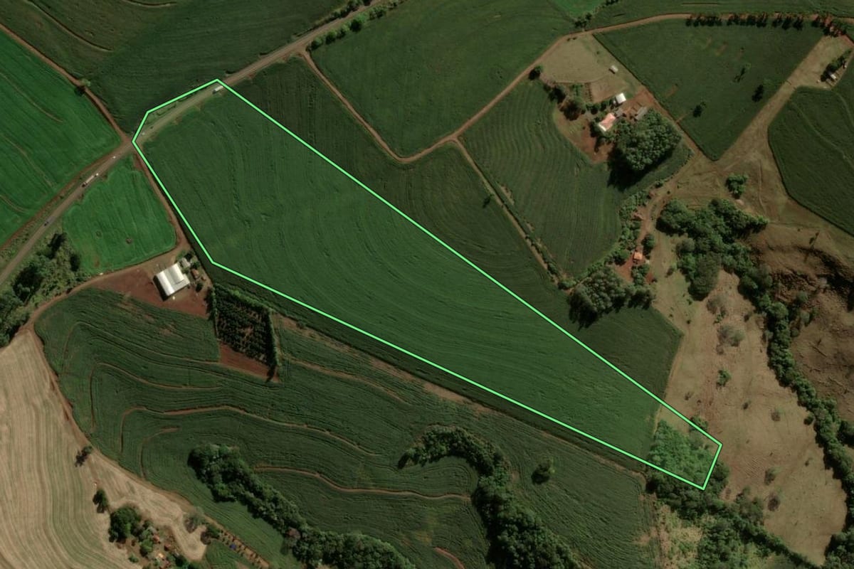 Imagem de satélite do imóvel rural em Cruzmaltina (PR), com o contorno declarado no CAR desenhado por cima.