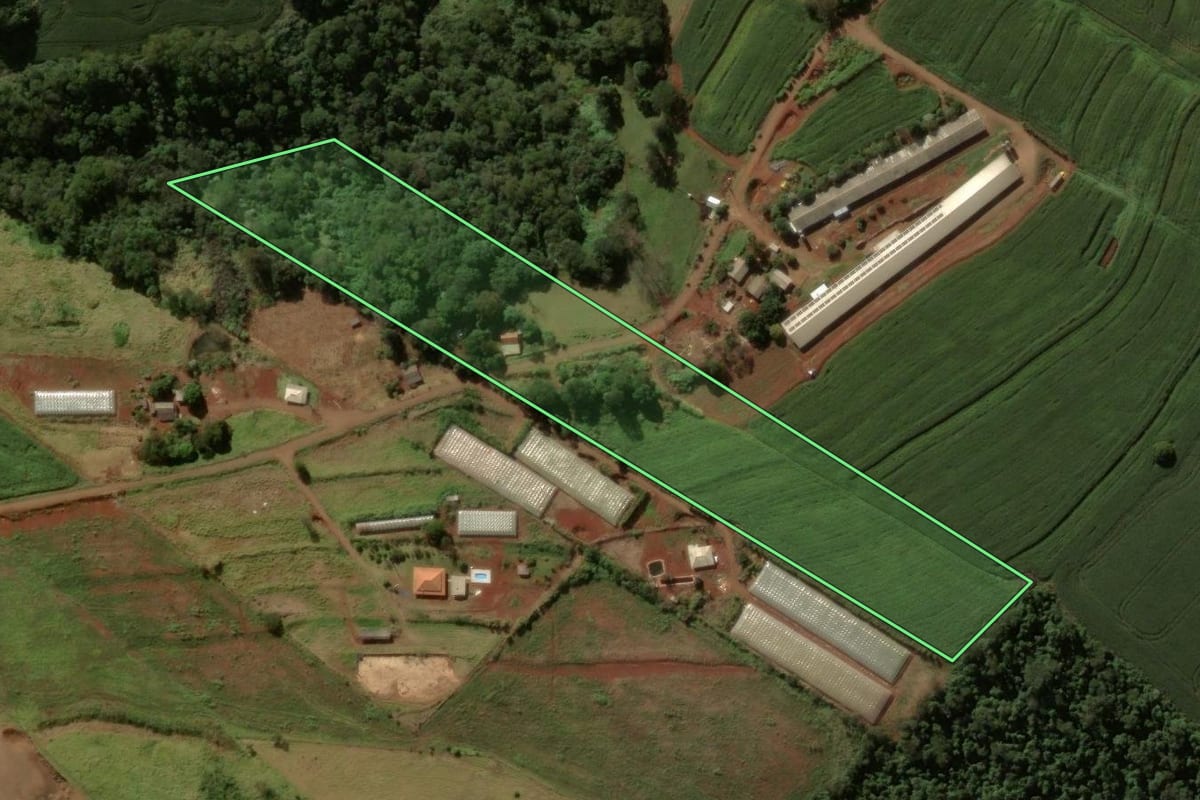 Imagem de satélite do imóvel rural em Cruzmaltina (PR), com o contorno declarado no CAR desenhado por cima.