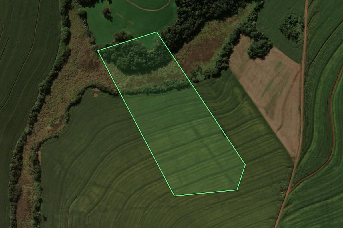 Imagem de satélite do imóvel rural em Cruzmaltina (PR), com o contorno declarado no CAR desenhado por cima.