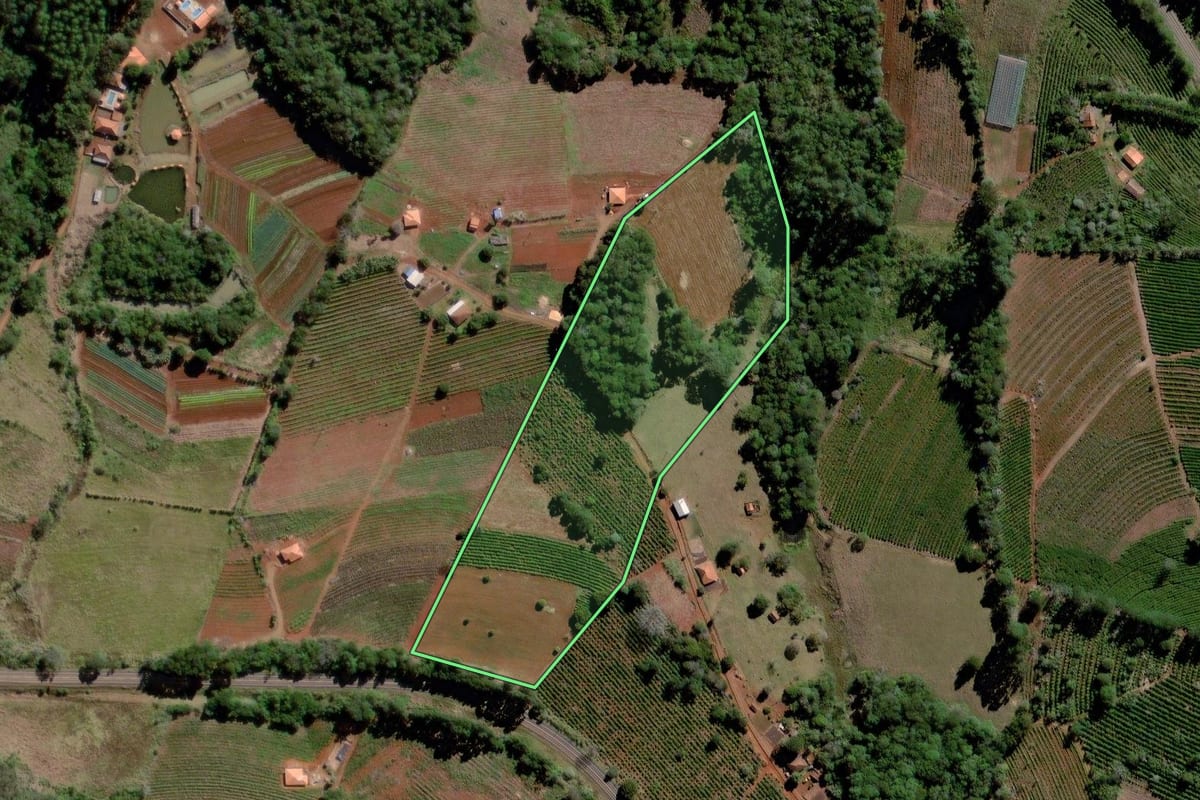 Imagem de satélite do imóvel rural em Curiúva (PR), com o contorno declarado no CAR desenhado por cima.