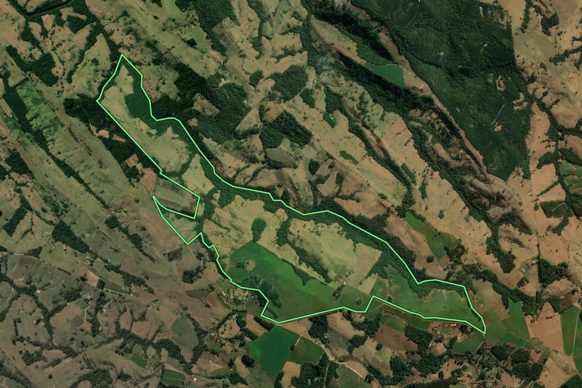 Imagem de satélite do imóvel rural em Curiúva (PR), com o contorno declarado no CAR desenhado por cima.