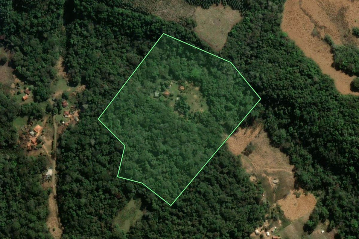 Imagem de satélite do imóvel rural em Curiúva (PR), com o contorno declarado no CAR desenhado por cima.