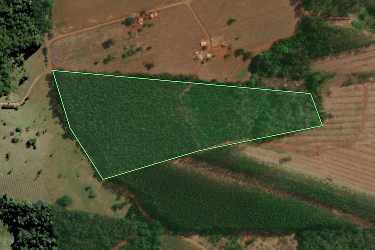 Imagem de satélite do imóvel rural em Curiúva (PR), com o contorno declarado no CAR desenhado por cima.