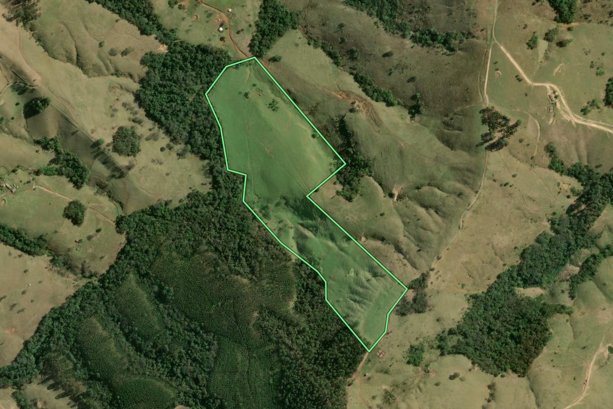 Imagem de satélite do imóvel rural em Curiúva (PR), com o contorno declarado no CAR desenhado por cima.