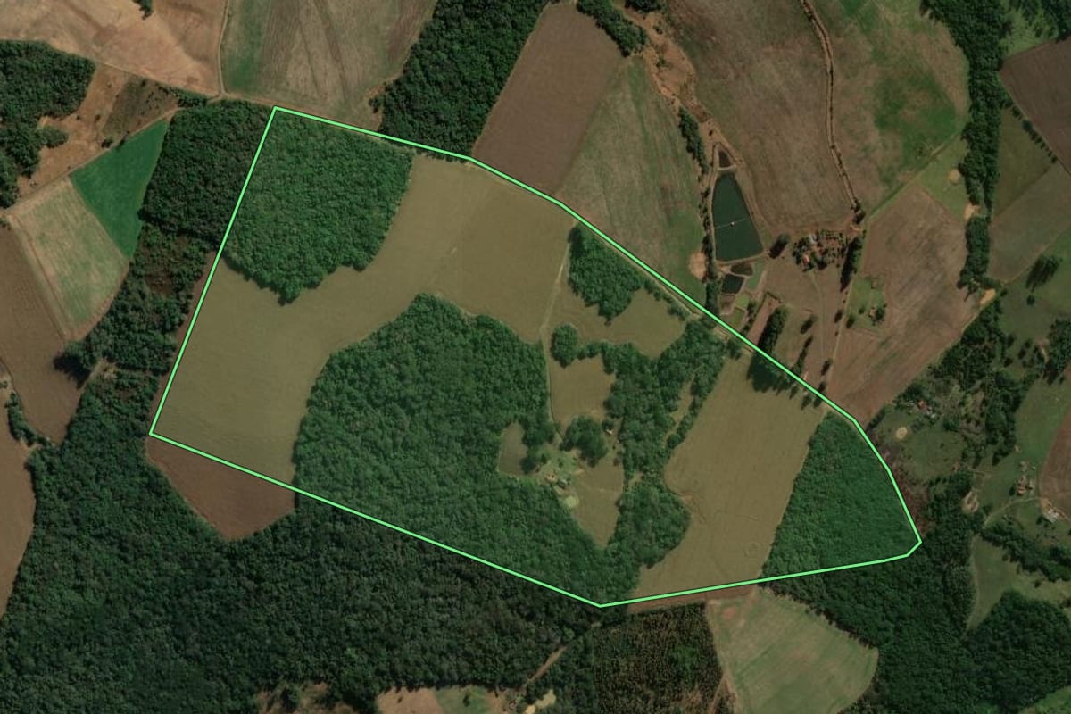 Imagem de satélite do imóvel rural em Curiúva (PR), com o contorno declarado no CAR desenhado por cima.