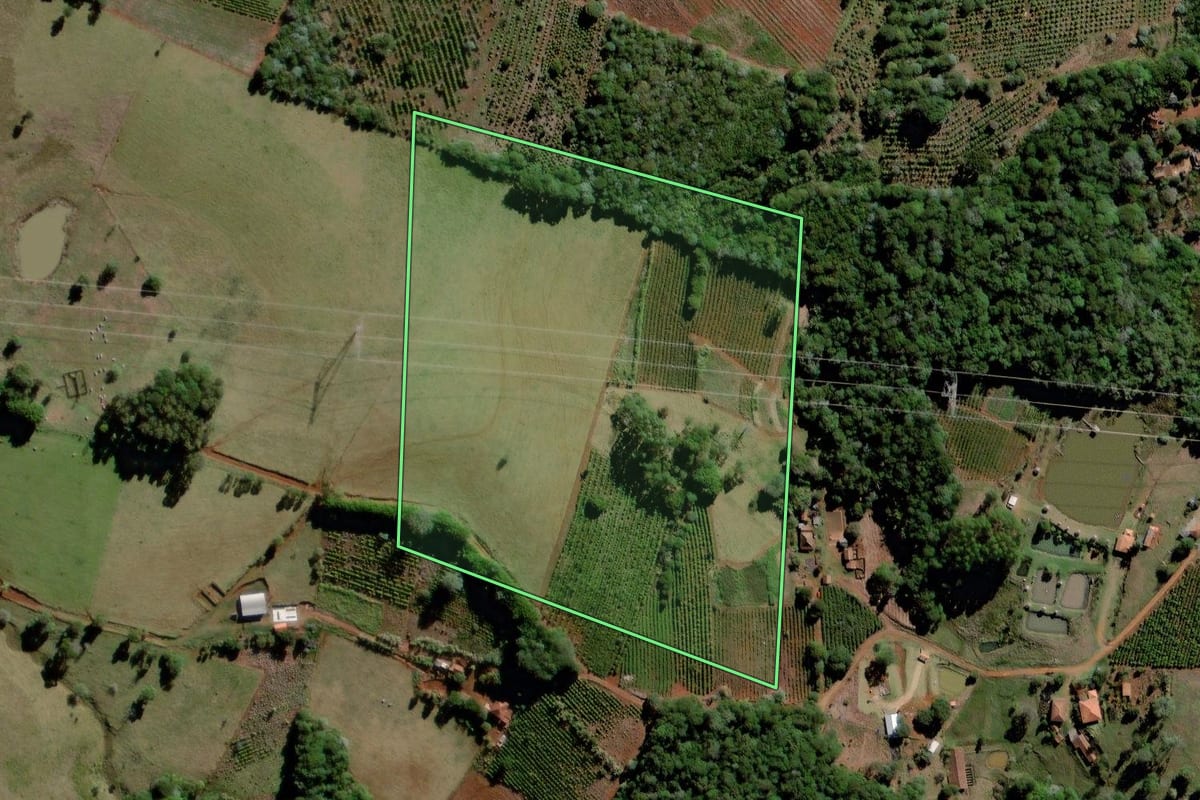 Imagem de satélite do imóvel rural em Curiúva (PR), com o contorno declarado no CAR desenhado por cima.