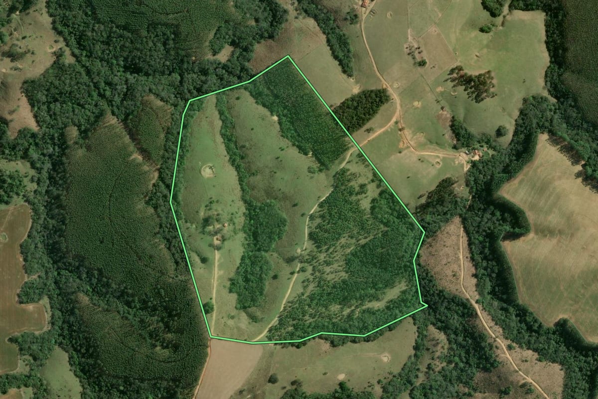 Imagem de satélite do imóvel rural em Curiúva (PR), com o contorno declarado no CAR desenhado por cima.