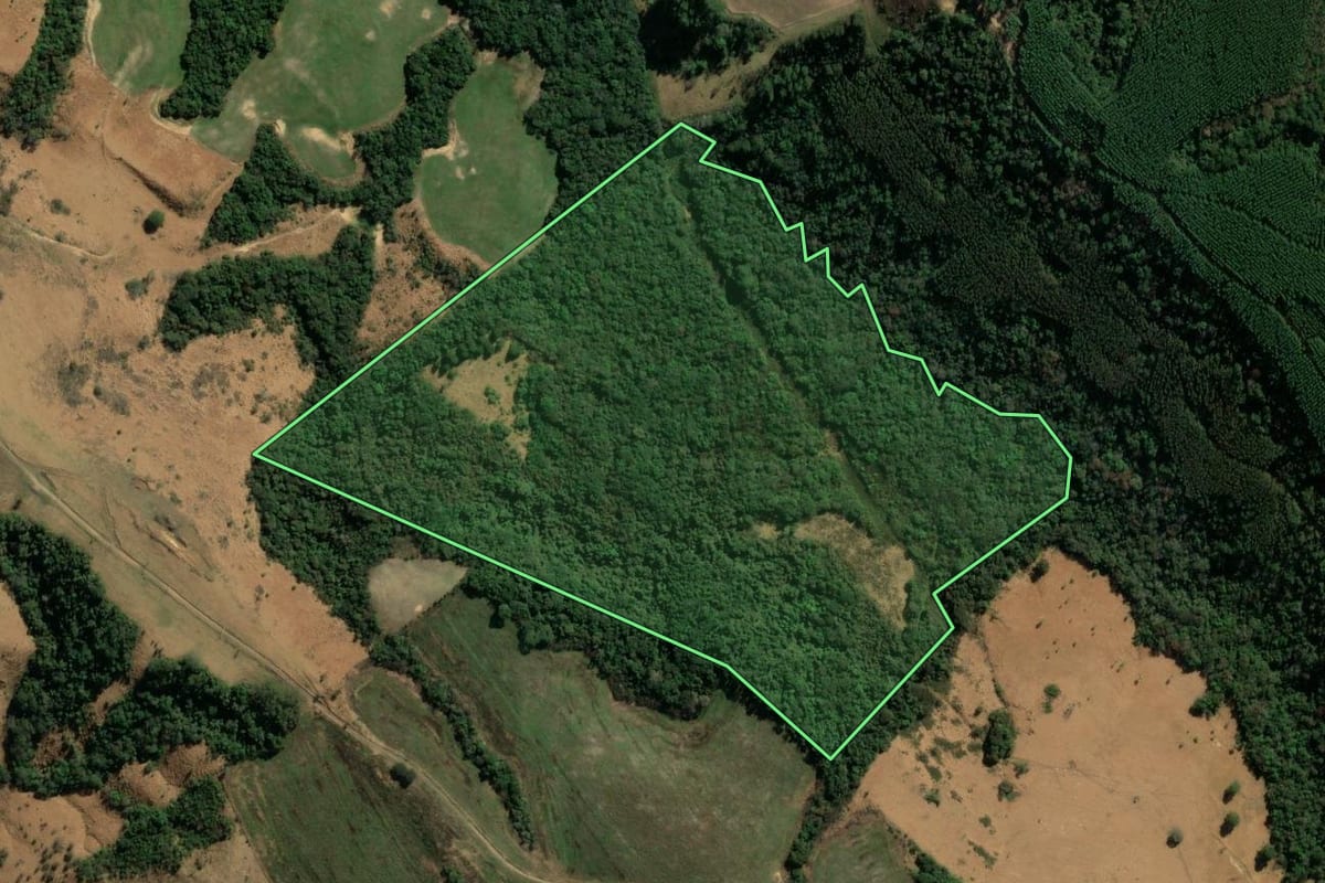 Imagem de satélite do imóvel rural em Curiúva (PR), com o contorno declarado no CAR desenhado por cima.