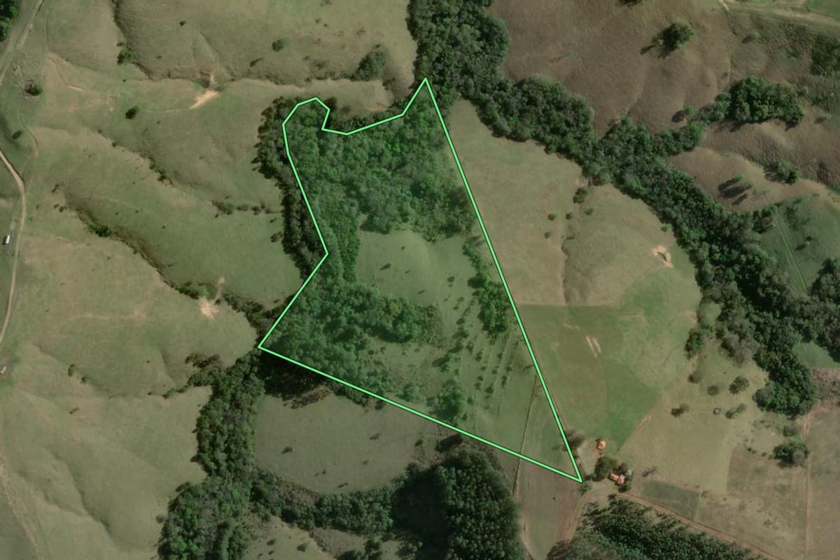 Imagem de satélite do imóvel rural em Curiúva (PR), com o contorno declarado no CAR desenhado por cima.