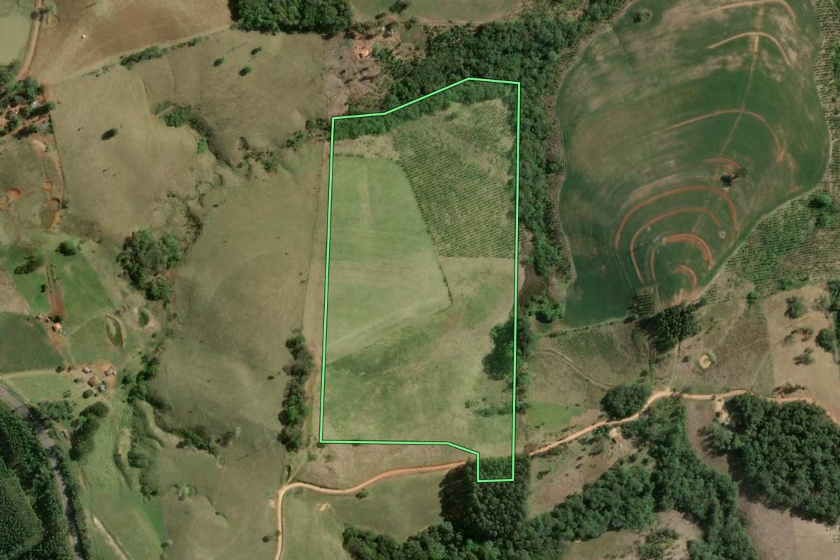Imagem de satélite do imóvel rural em Curiúva (PR), com o contorno declarado no CAR desenhado por cima.