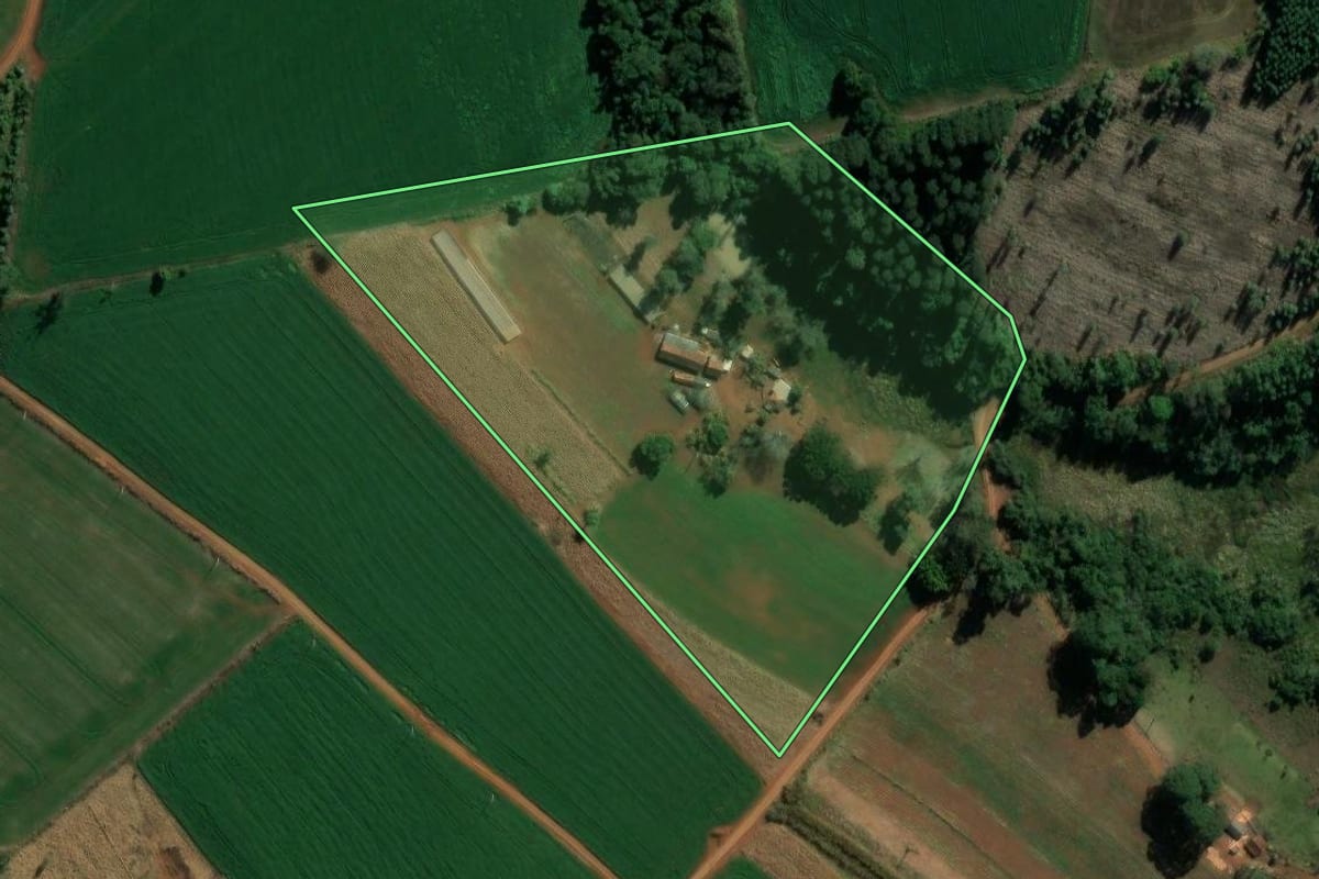 Imagem de satélite do imóvel rural em Curiúva (PR), com o contorno declarado no CAR desenhado por cima.