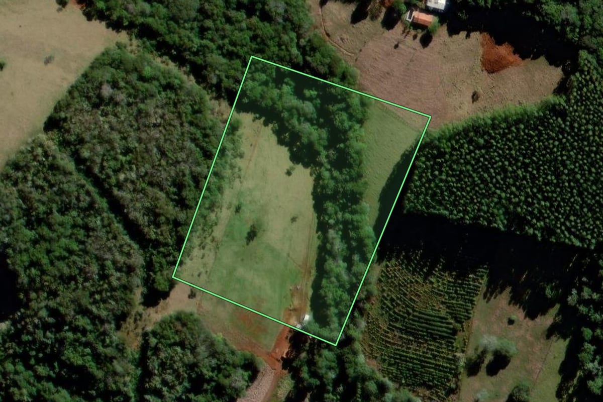 Imagem de satélite do imóvel rural em Curiúva (PR), com o contorno declarado no CAR desenhado por cima.