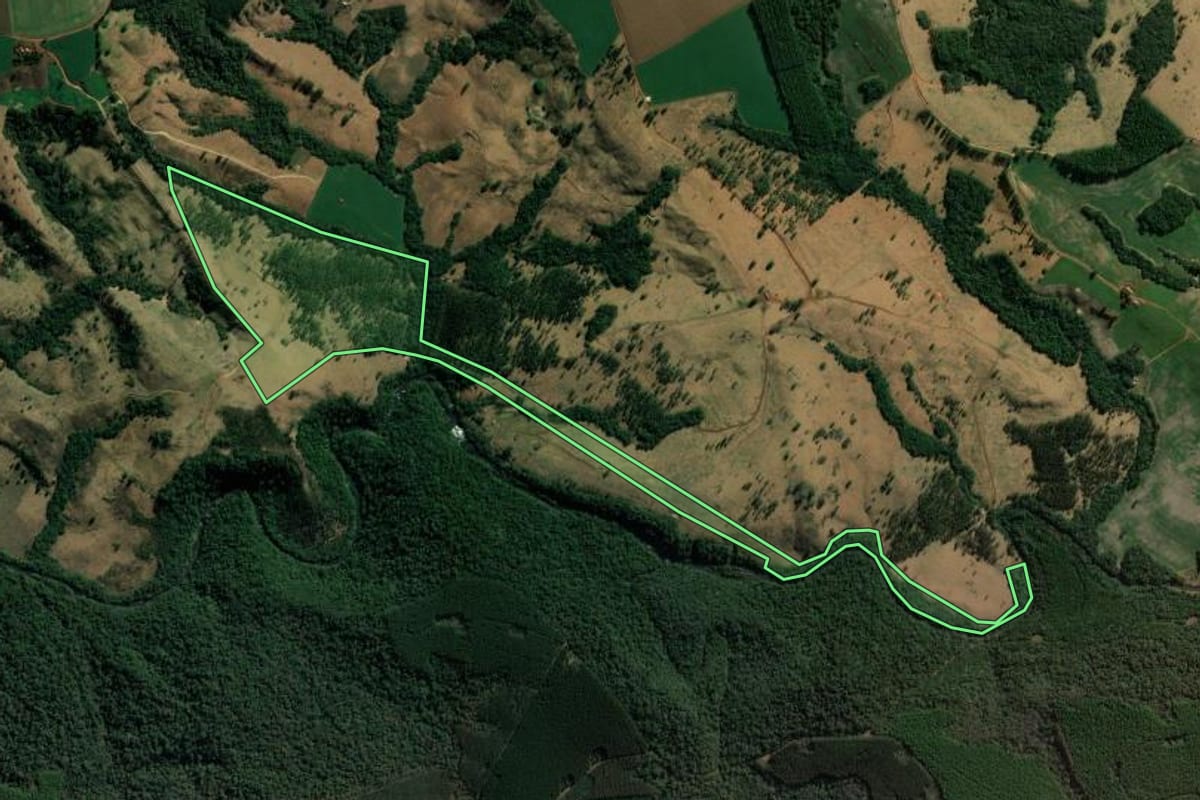 Imagem de satélite do imóvel rural em Curiúva (PR), com o contorno declarado no CAR desenhado por cima.
