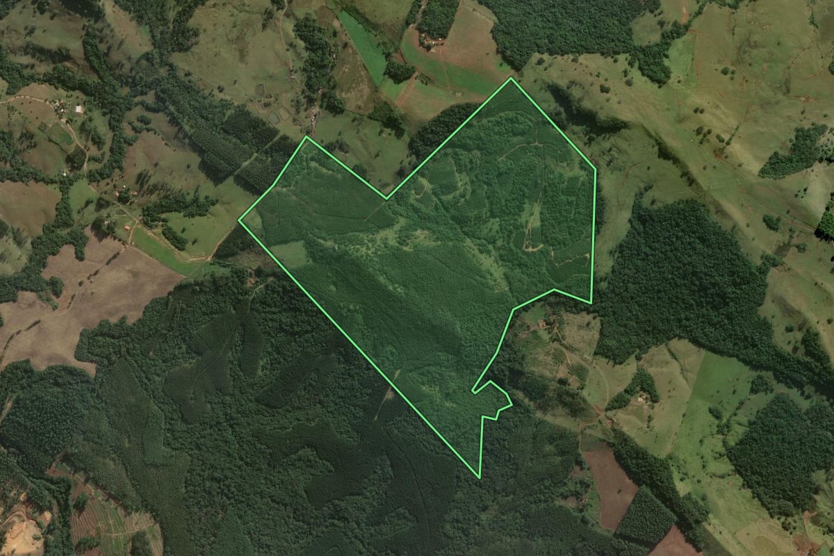 Imagem de satélite do imóvel rural em Curiúva (PR), com o contorno declarado no CAR desenhado por cima.
