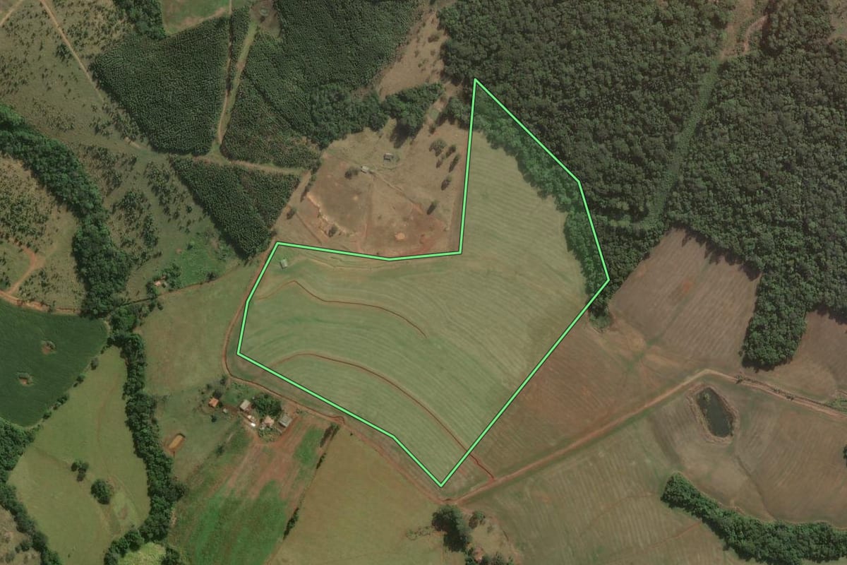 Imagem de satélite do imóvel rural em Curiúva (PR), com o contorno declarado no CAR desenhado por cima.