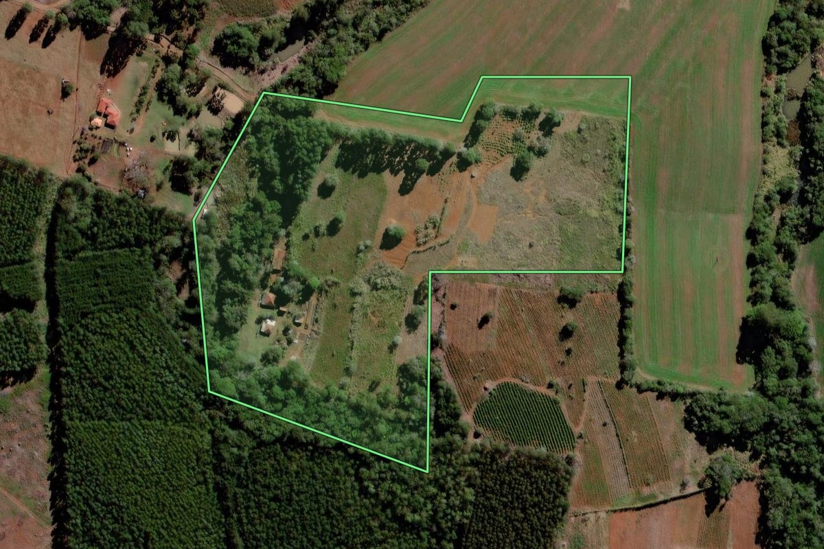 Imagem de satélite do imóvel rural em Curiúva (PR), com o contorno declarado no CAR desenhado por cima.