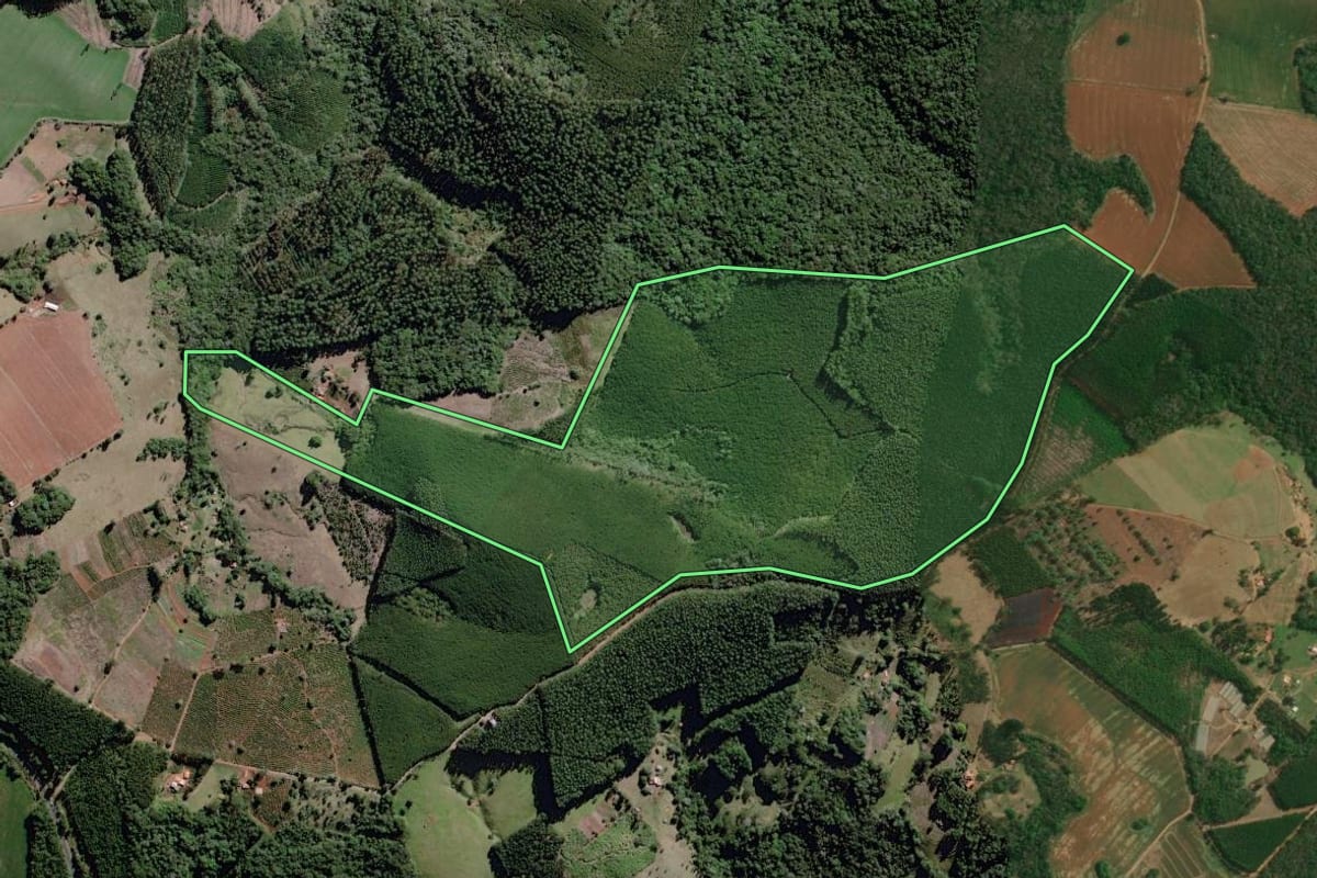 Imagem de satélite do imóvel rural em Curiúva (PR), com o contorno declarado no CAR desenhado por cima.