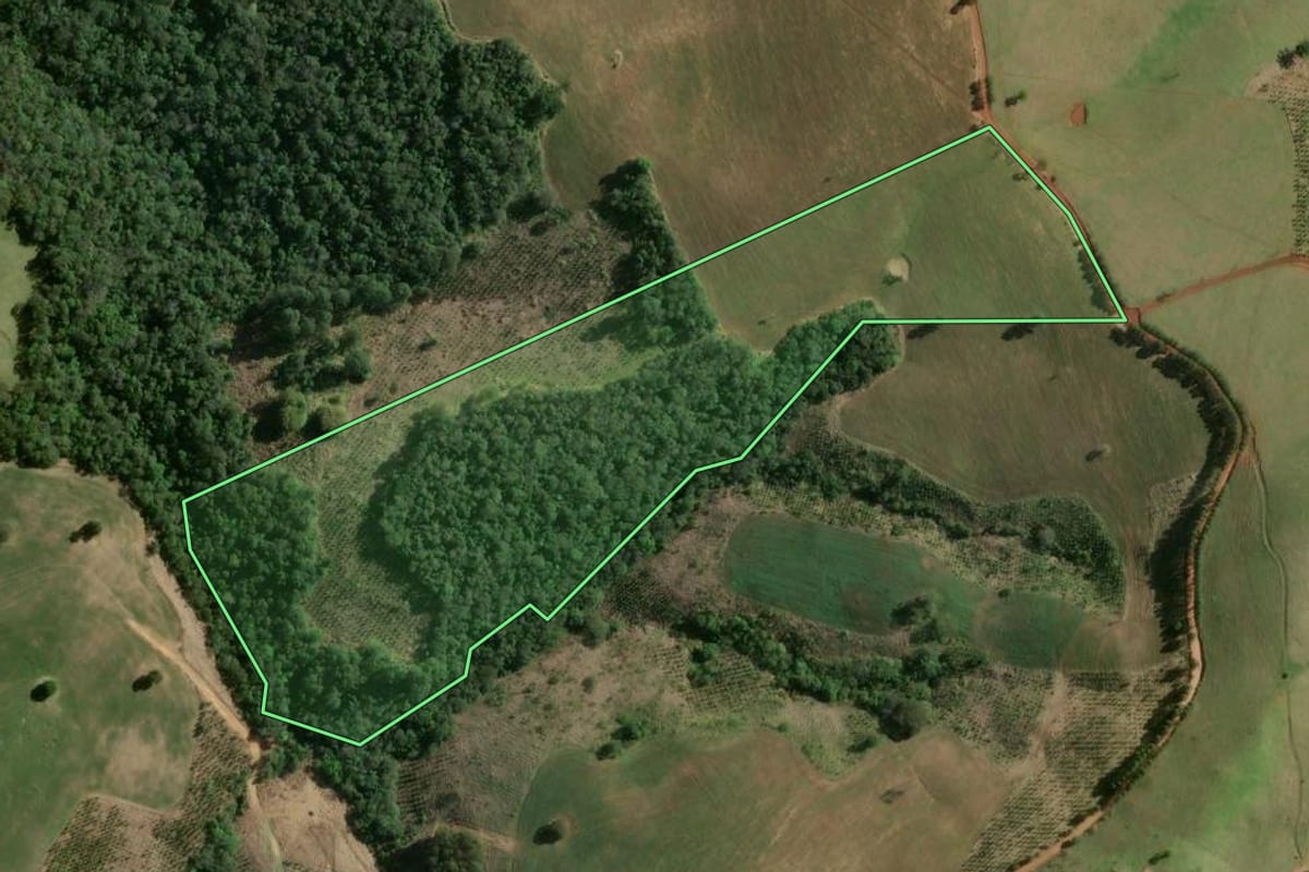 Imagem de satélite do imóvel rural em Curiúva (PR), com o contorno declarado no CAR desenhado por cima.