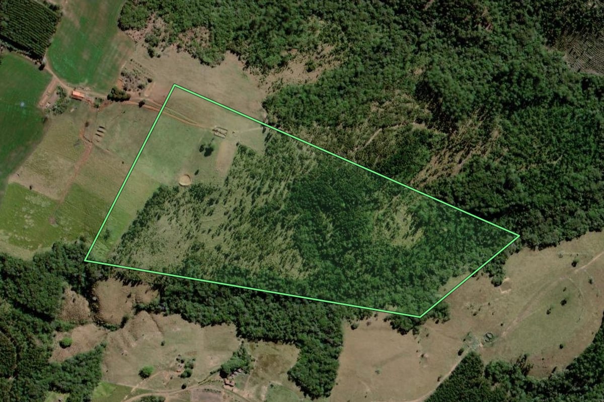 Imagem de satélite do imóvel rural em Curiúva (PR), com o contorno declarado no CAR desenhado por cima.