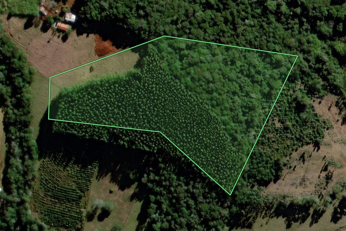 Imagem de satélite do imóvel rural em Curiúva (PR), com o contorno declarado no CAR desenhado por cima.
