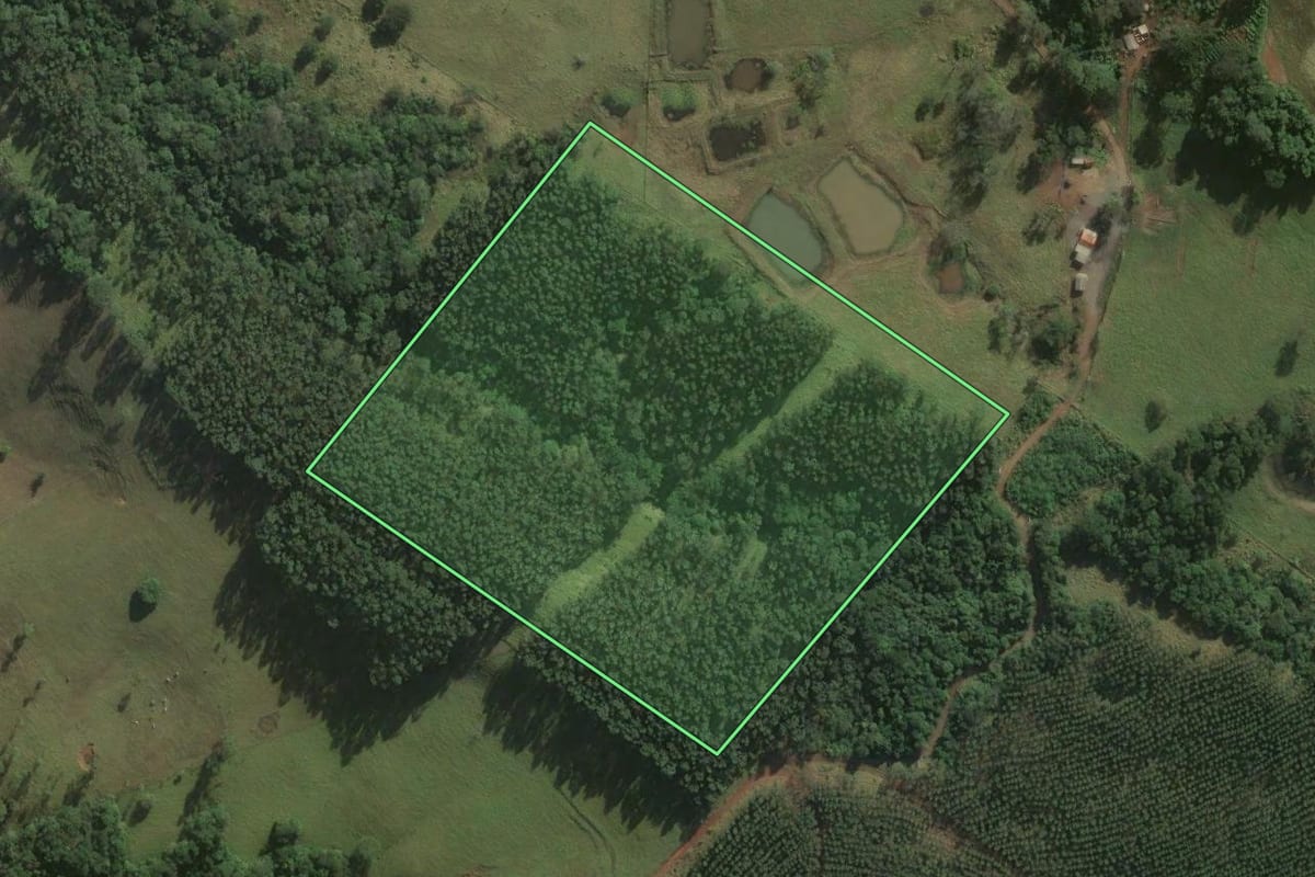 Imagem de satélite do imóvel rural em Curiúva (PR), com o contorno declarado no CAR desenhado por cima.