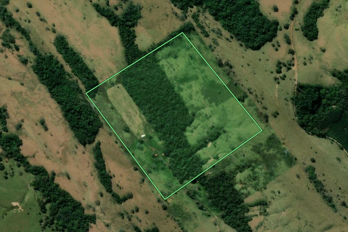 Imagem de satélite do imóvel rural em Curiúva (PR), com o contorno declarado no CAR desenhado por cima.