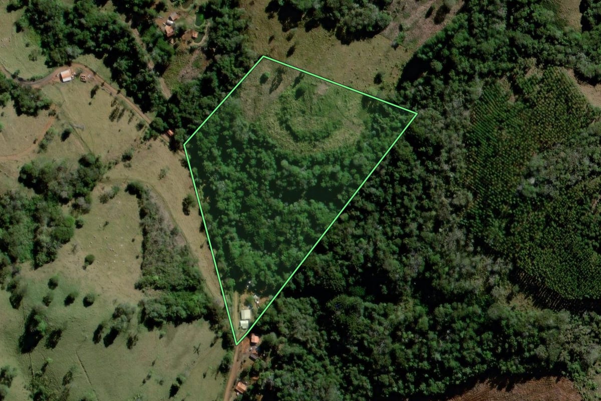 Imagem de satélite do imóvel rural em Curiúva (PR), com o contorno declarado no CAR desenhado por cima.
