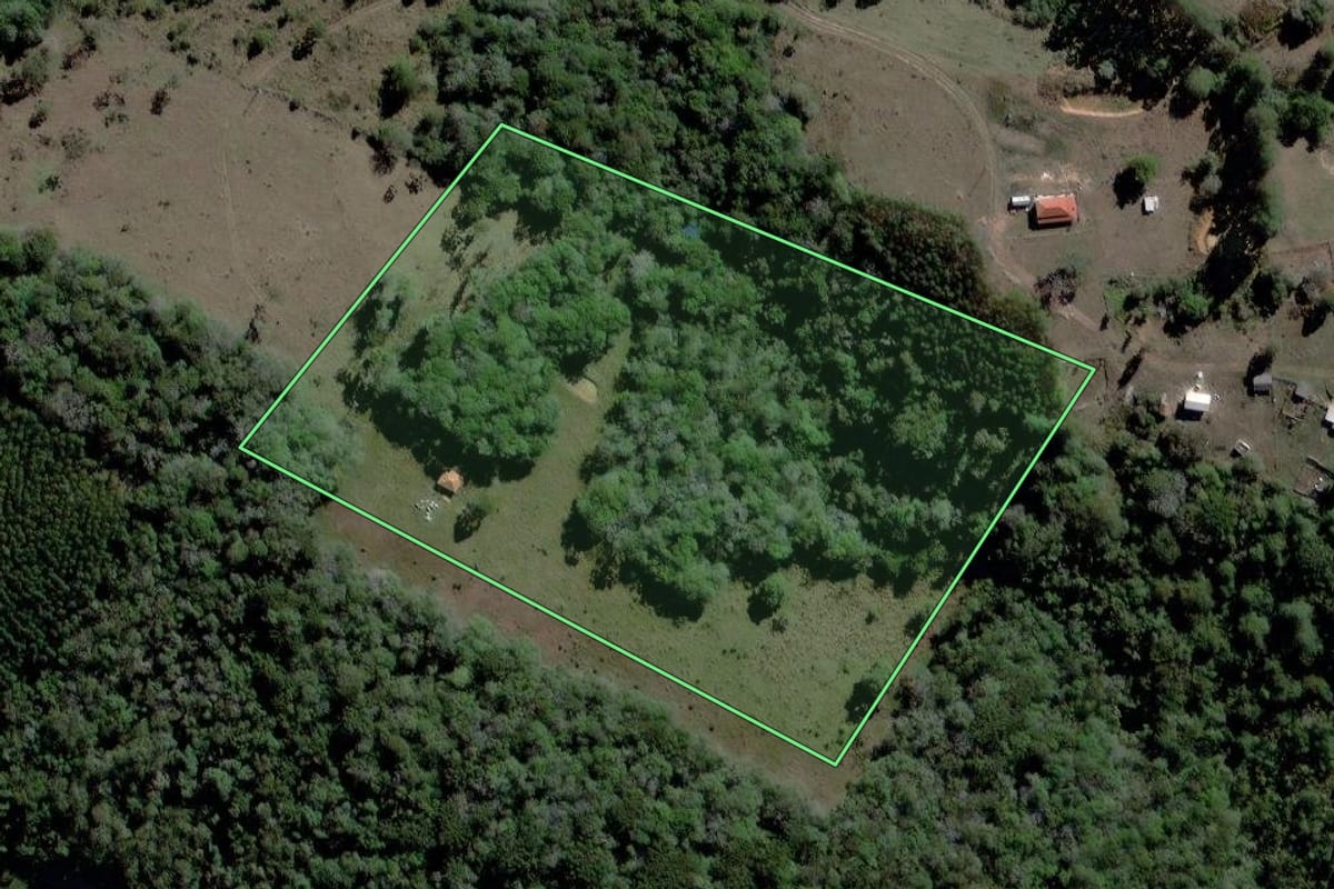 Imagem de satélite do imóvel rural em Curiúva (PR), com o contorno declarado no CAR desenhado por cima.