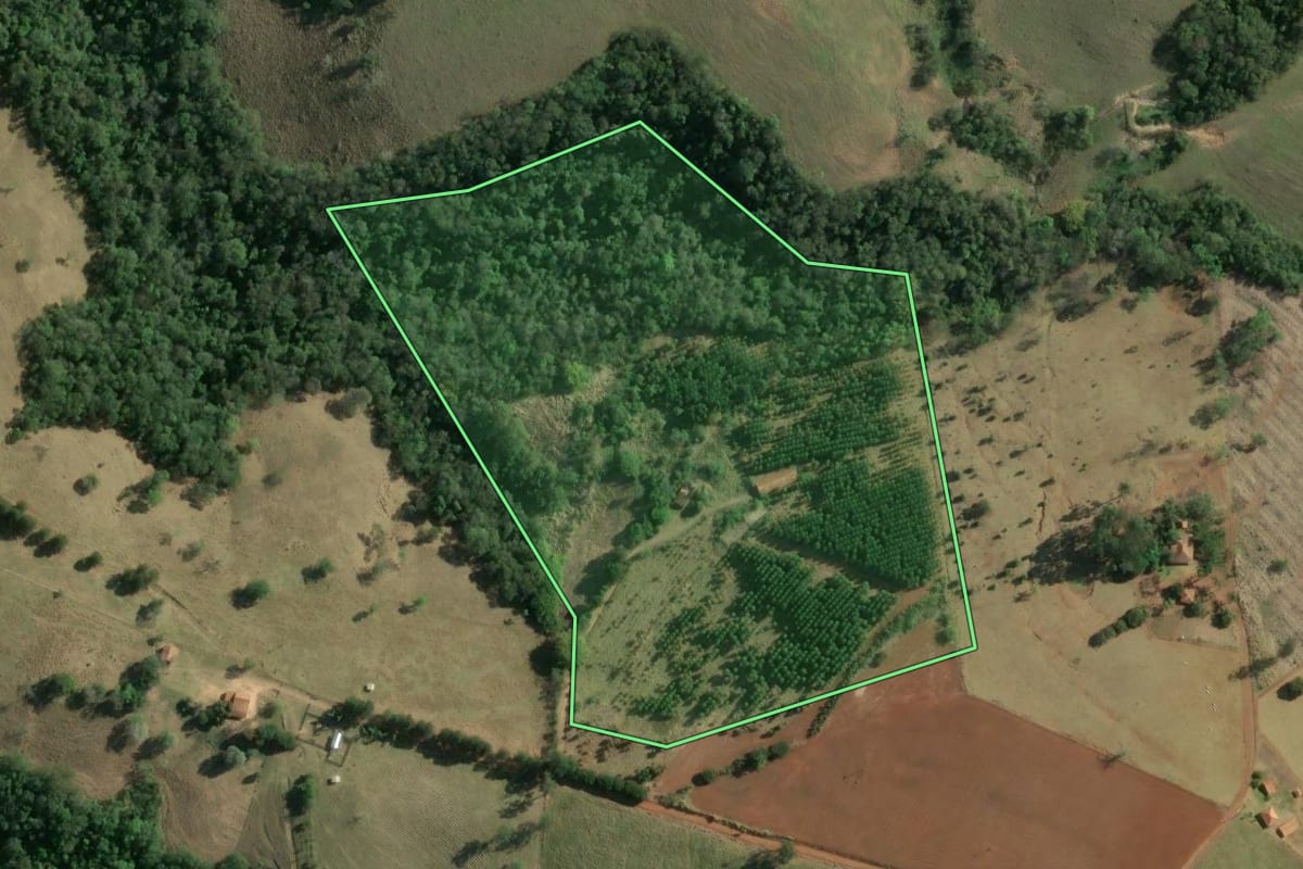 Imagem de satélite do imóvel rural em Curiúva (PR), com o contorno declarado no CAR desenhado por cima.