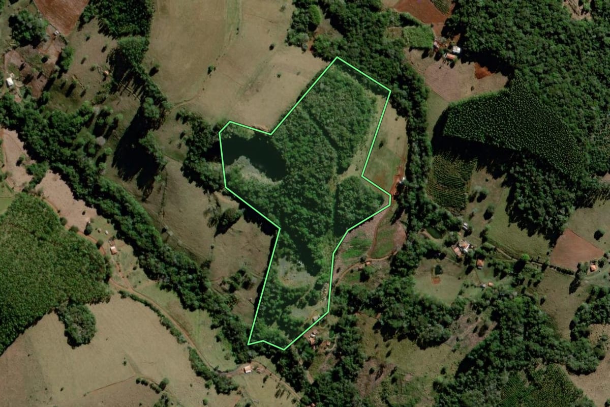 Imagem de satélite do imóvel rural em Curiúva (PR), com o contorno declarado no CAR desenhado por cima.