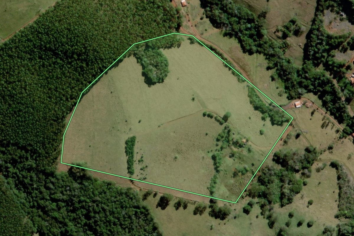 Imagem de satélite do imóvel rural em Curiúva (PR), com o contorno declarado no CAR desenhado por cima.