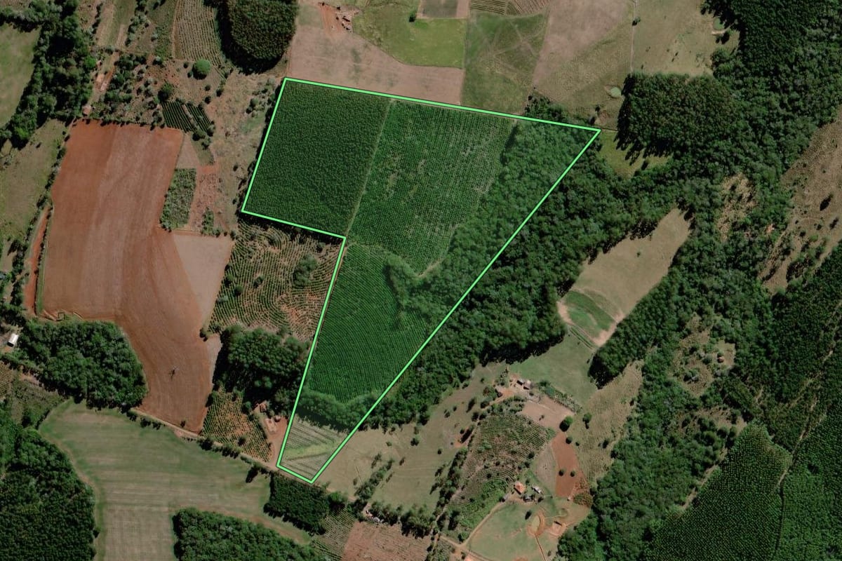 Imagem de satélite do imóvel rural em Curiúva (PR), com o contorno declarado no CAR desenhado por cima.