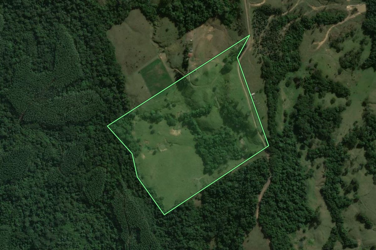 Imagem de satélite do imóvel rural em Curiúva (PR), com o contorno declarado no CAR desenhado por cima.