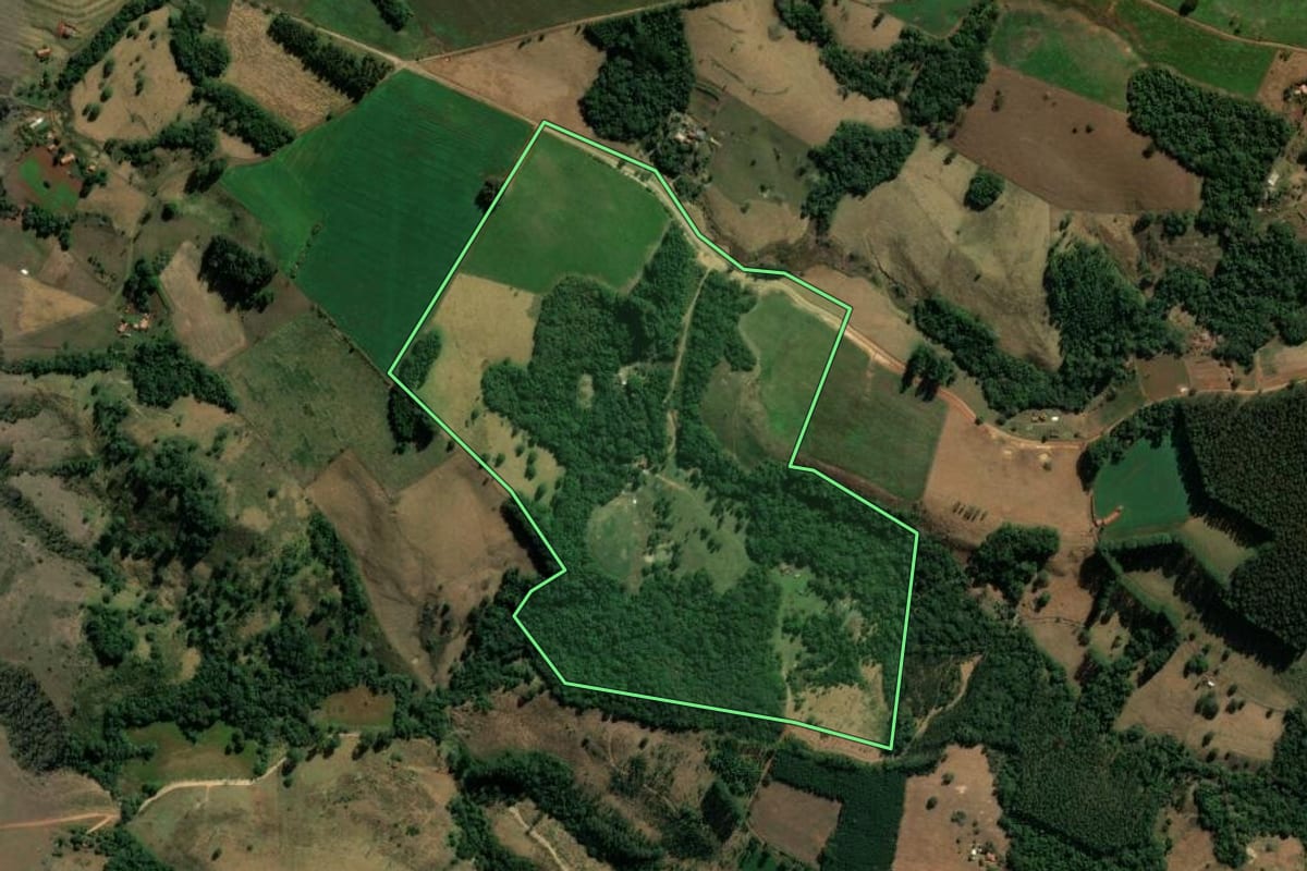 Imagem de satélite do imóvel rural em Curiúva (PR), com o contorno declarado no CAR desenhado por cima.