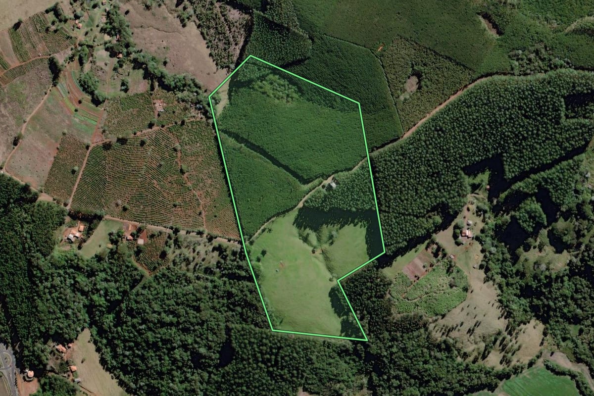 Imagem de satélite do imóvel rural em Curiúva (PR), com o contorno declarado no CAR desenhado por cima.