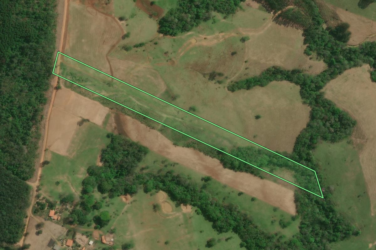 Imagem de satélite do imóvel rural em Curiúva (PR), com o contorno declarado no CAR desenhado por cima.
