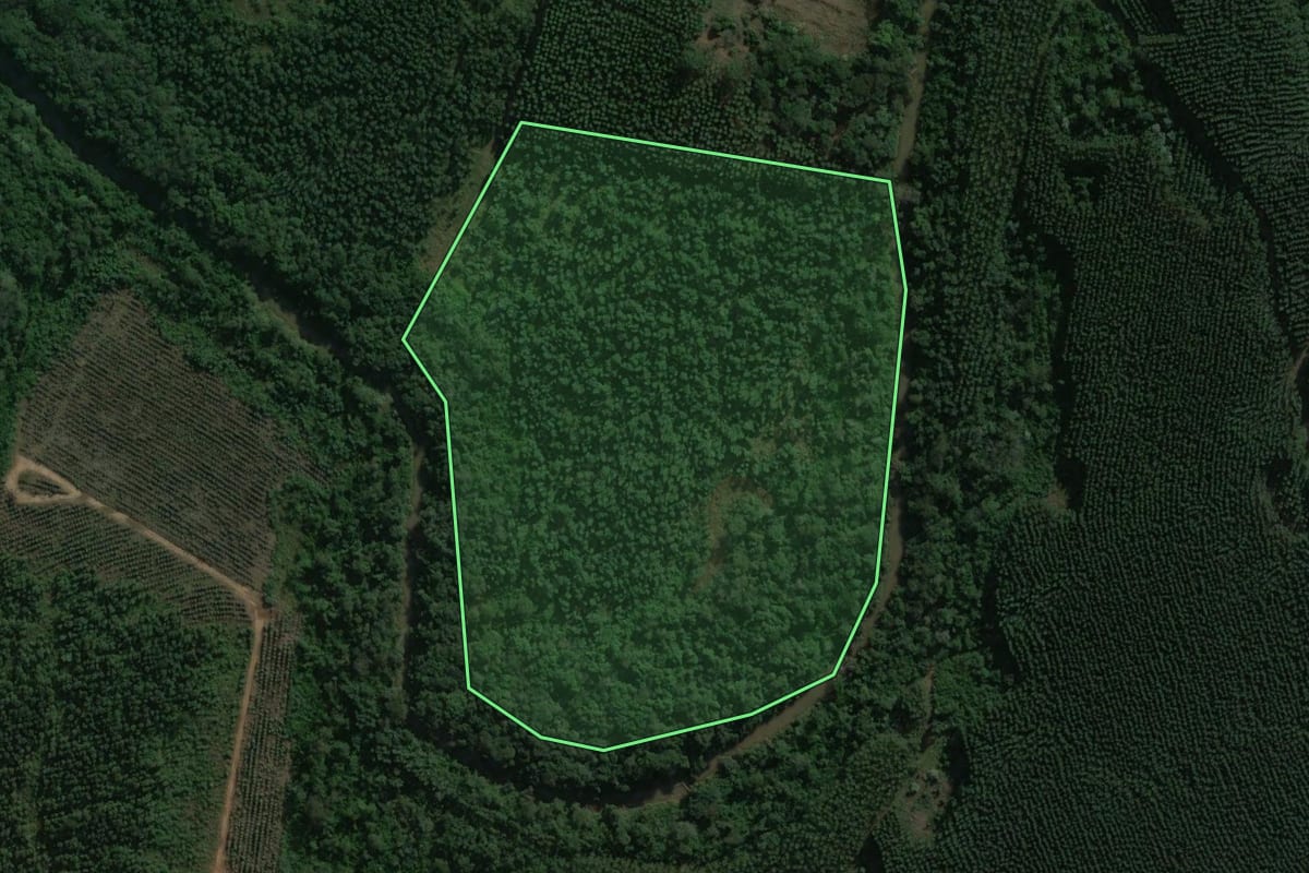 Imagem de satélite do imóvel rural em Curiúva (PR), com o contorno declarado no CAR desenhado por cima.