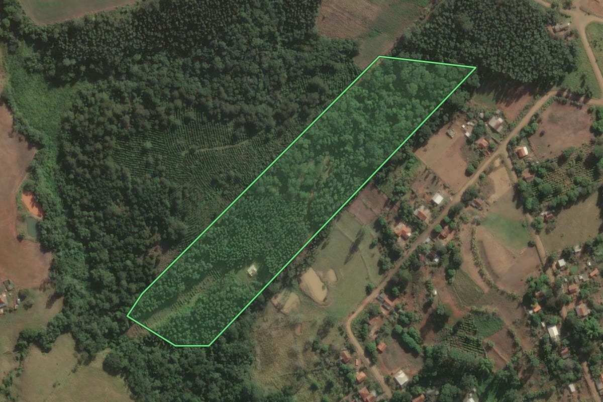 Imagem de satélite do imóvel rural em Curiúva (PR), com o contorno declarado no CAR desenhado por cima.