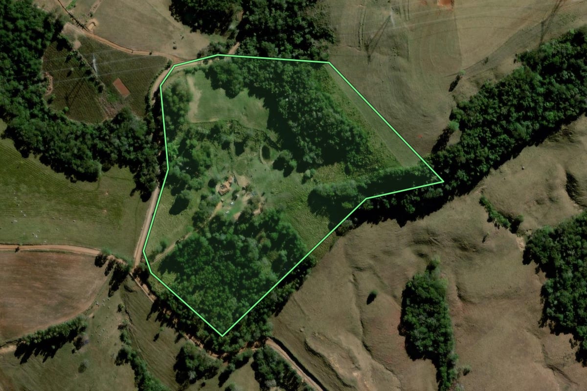 Imagem de satélite do imóvel rural em Curiúva (PR), com o contorno declarado no CAR desenhado por cima.