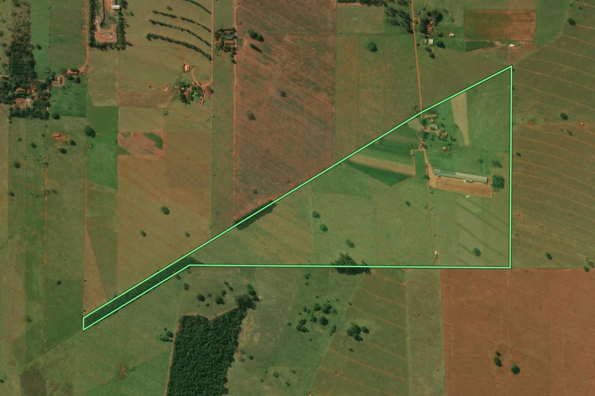 Imagem de satélite do imóvel rural em Diamante do Norte (PR), com o contorno declarado no CAR desenhado por cima.