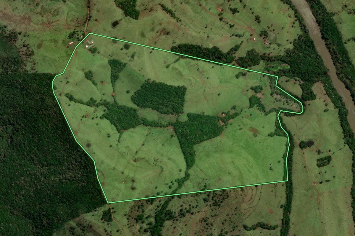 Imagem de satélite do imóvel rural em Diamante do Sul (PR), com o contorno declarado no CAR desenhado por cima.