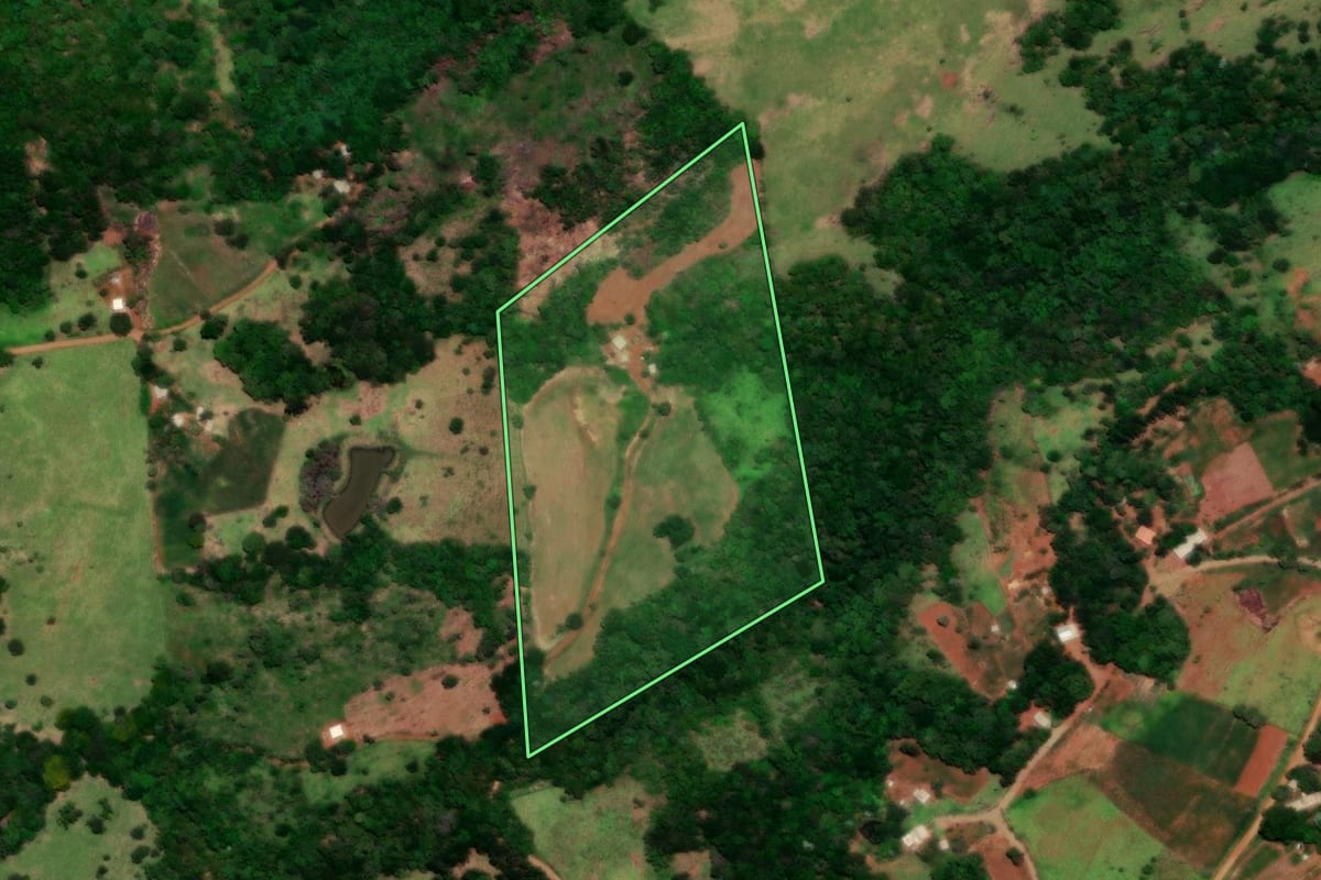 Imagem de satélite do imóvel rural em Diamante do Sul (PR), com o contorno declarado no CAR desenhado por cima.