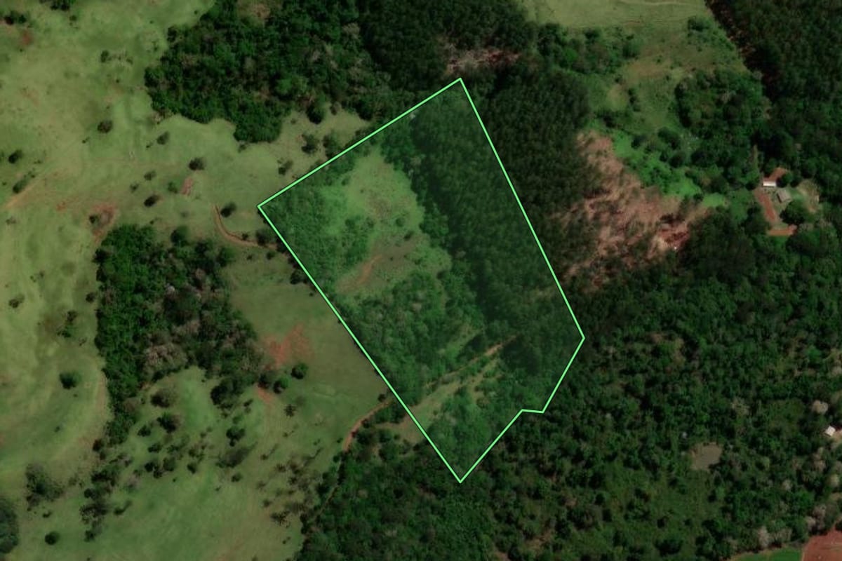 Imagem de satélite do imóvel rural em Diamante do Sul (PR), com o contorno declarado no CAR desenhado por cima.